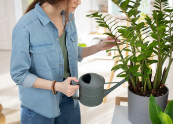 Branded Plant Pots For Small Spaces Maximizing Garden
