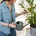 Branded Plant Pots For Small Spaces Maximizing Garden